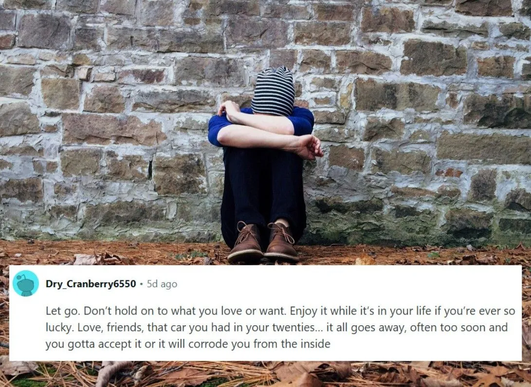 11.jpg?format=webp