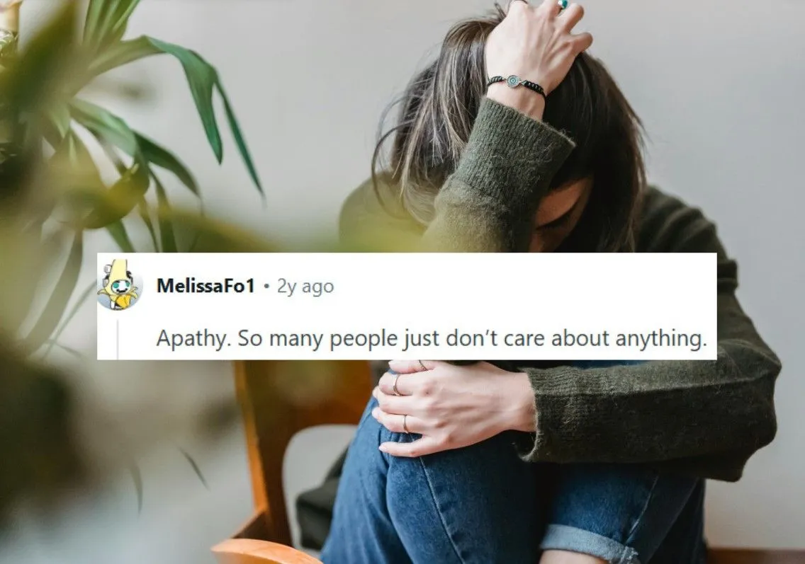 24.jpg?format=webp