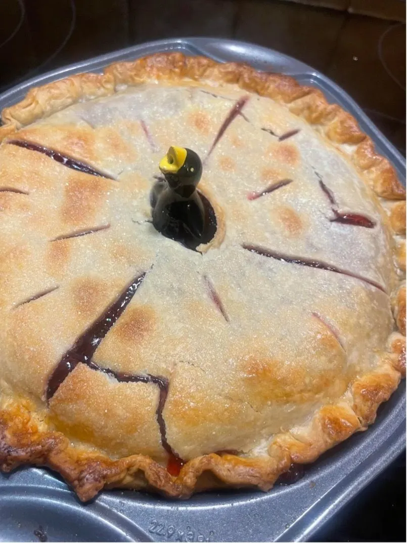 37. Pie Bird.jpg?format=webp