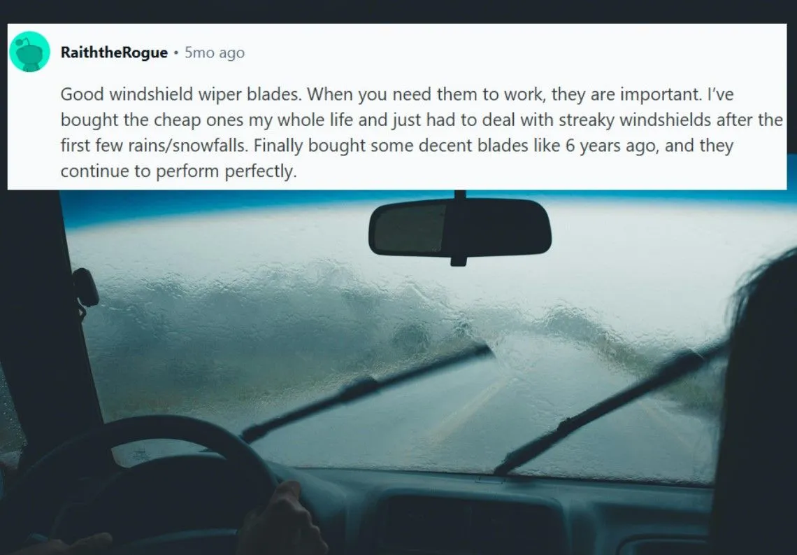 3.jpg?format=webp