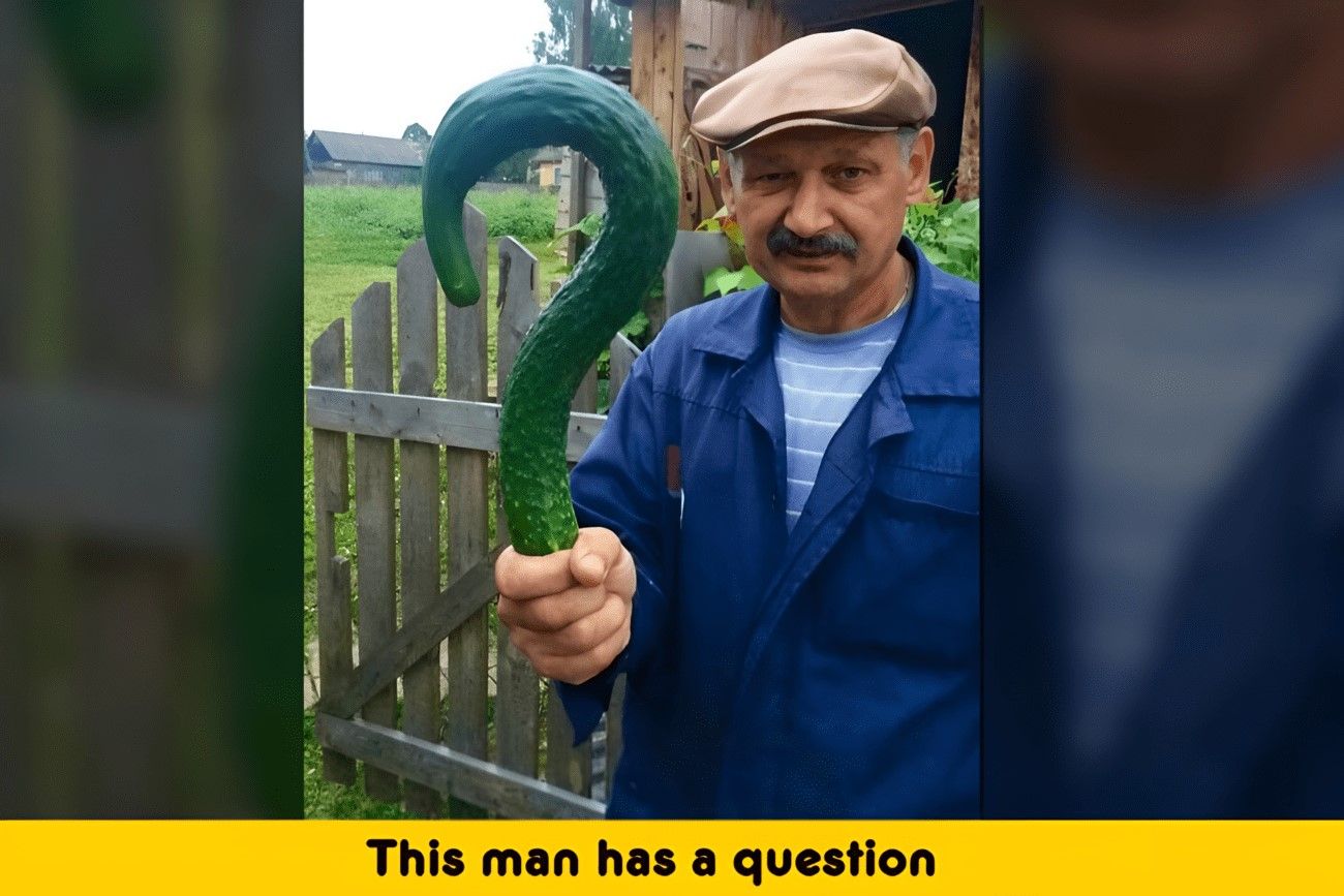 Any questions.jpg