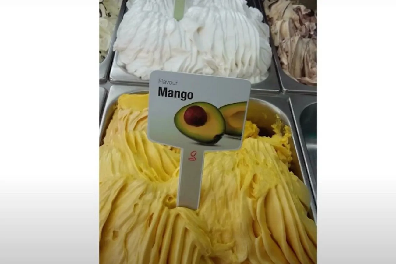 Mango or avocado.jpg?format=webp